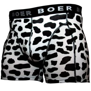 Boer Boer heren boxer Koe