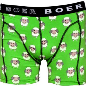 Boer Boer heren boxer Schaap