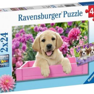Ravensburger puzzel Dierenfoto´s – 2×24 stukjes (050291)